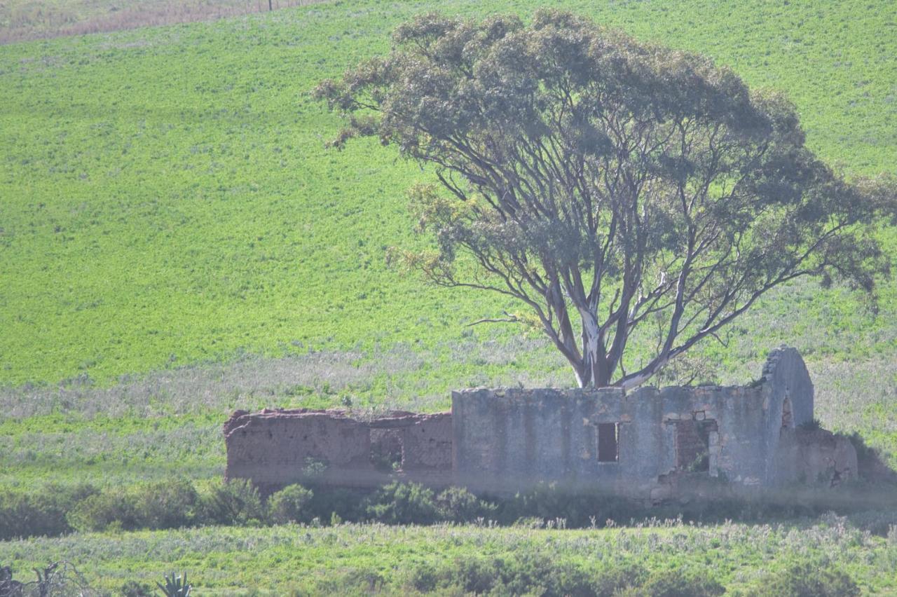 Old Sam'S Cottage Bredasdorp Exterior photo